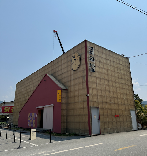 춘천 레고랜드 맛집, ‘감자밭’ 카페 솔직 후기 (포토존, 주차 꿀팁)