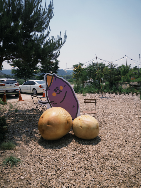 감자밭 맛집