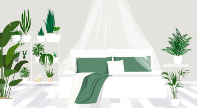 침대에 모기장 설치하기. 모기장에는 촘촘한 구멍이 있어 통풍은 잘 되는 반면 모기는 망을 통과하지 못한다. 침대 위에 모기장을 고정시켜 걸어보자. 모기장을 잘 지탱해주어야 몸에 닿지 않게 텐트처럼 잘 처진다. 모기장 측면에 몸이 닿거나 공간이 좁으면 모기에 물릴 가능성이 있으니 조심하자. 그리고 크게 난 구멍이 있는지 자주 망의 상태를 확인하고, 구멍 난 부분에는 테이프를 붙여서 수리한다.