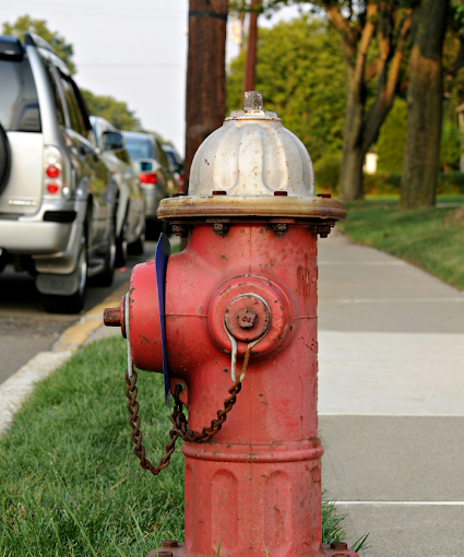‘딱 한 번’에 과태료 100만원? 당신만 모르는 주차 금지구역!