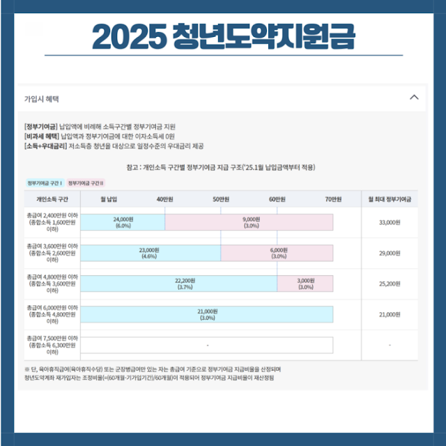청년도약지원금